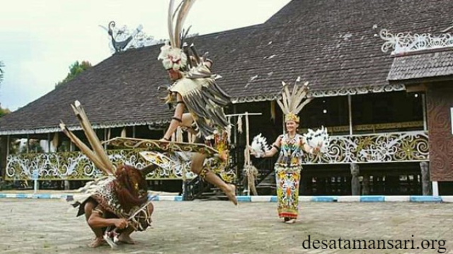 Wisata Budaya Pampang Eduwisata Budaya Dayak di Samarinda